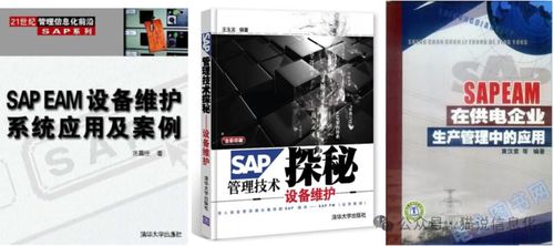 從擁有專(zhuān)業(yè)書(shū)的情況看國(guó)內(nèi)外erp軟件廠商的生態(tài)差異