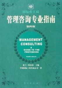 管理咨詢(xún)專(zhuān)業(yè)指南 第4版